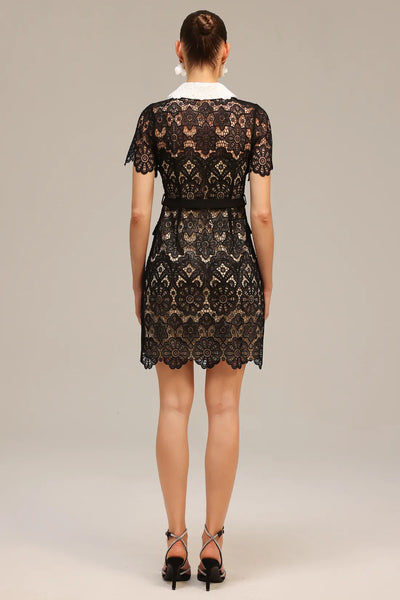 Kassy Short Sleeve Lace Mini Dress