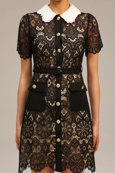 Kassy Short Sleeve Lace Mini Dress