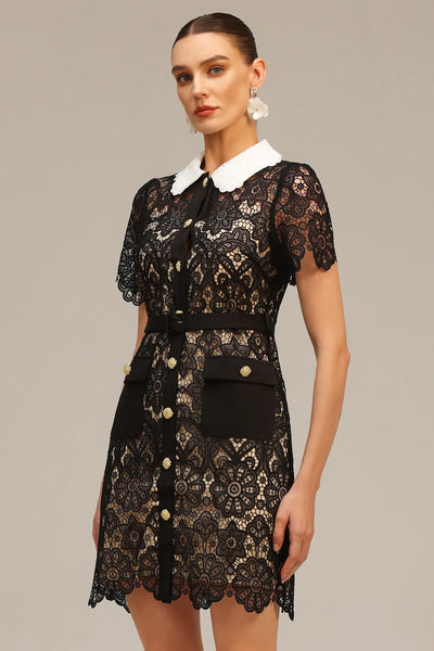 Kassy Short Sleeve Lace Mini Dress