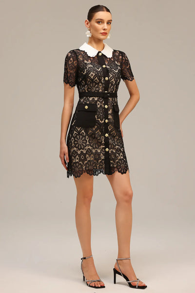 Kassy Short Sleeve Lace Mini Dress