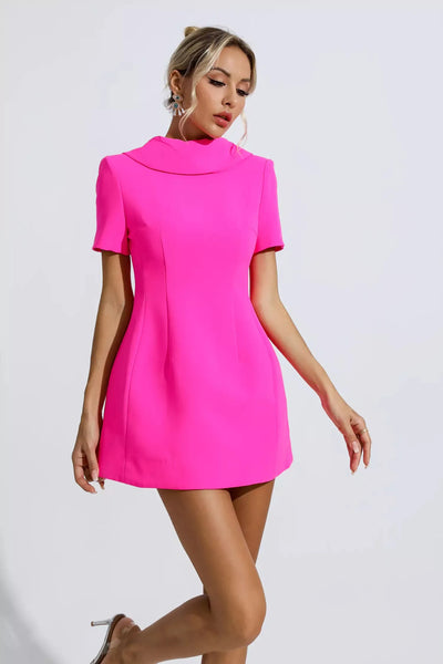 Jacqueline Pink Ruffle Mini Dress